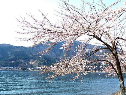 琵琶湖の画像（滋賀エリア）