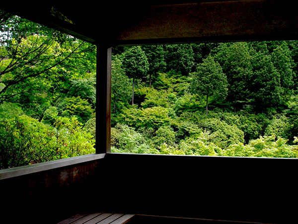 雨に濡れるとより美しくなる京都。梅雨時期に訪れてみたい名所をご紹介！